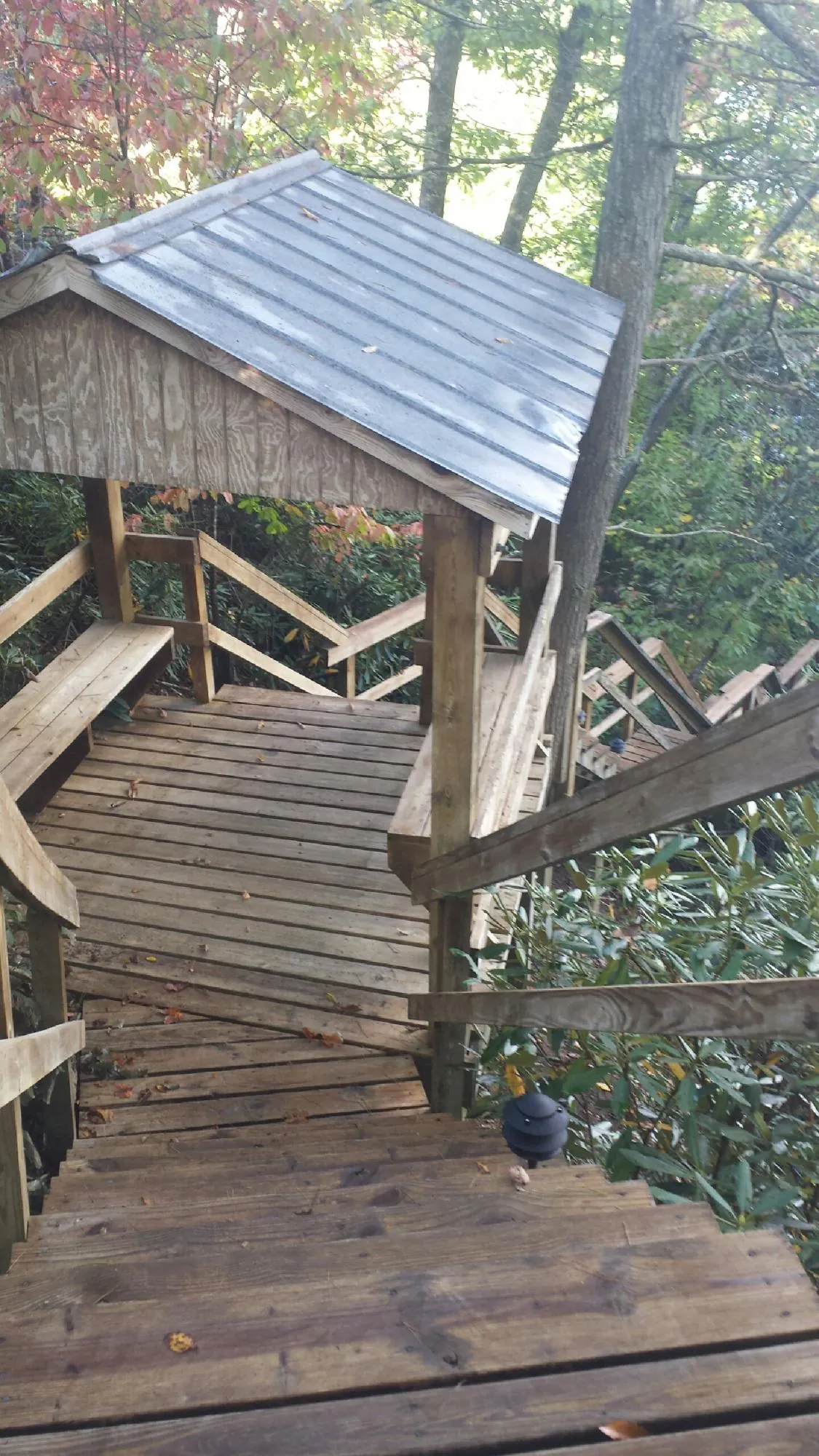 Metal roofed shelter over wooden steps on a wooded walkway — Skylight Repair & Installation work by our crew in Eldena