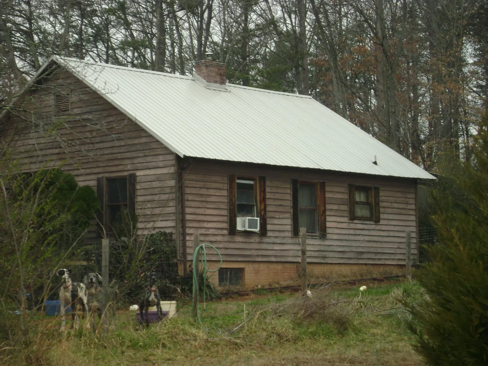 White metal roof on an old wood sided farmhouse, from a Asphalt Shingle Roof Repair job in Eldena